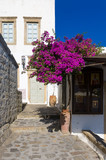 Fototapeta Uliczki - Traditional  architecture in the chora of Patmos island, Dodecanese, Greece 
