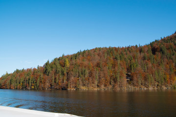  Herbstwald am See