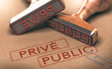 Public Versus Privé. Choix Fonction Publique Ou Secteurs Privés
