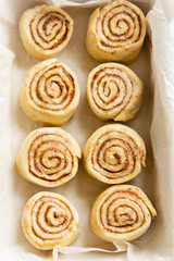 Wall Mural - Cinnabon rolls