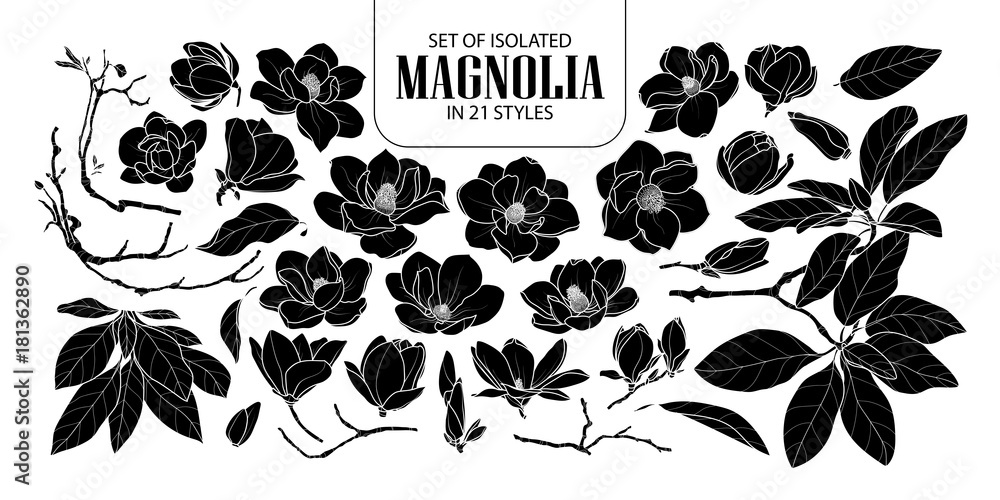 Set of isolated silhouette magnolia in 21 styles. Cute hand drawn flower vector illustration in white outline and black plane. - obrazy, fototapety, plakaty 