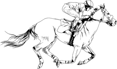 jockey on a galloping horse painted with ink by hand on a white background