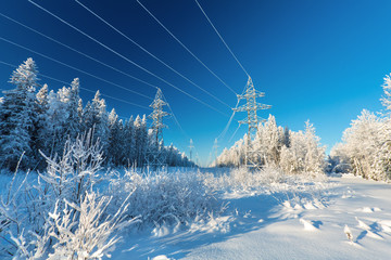 Wall Mural - The overhead electric line over blue sky.  Electrical wires of power line or electrical transmission line covered by snow in the winter forest.