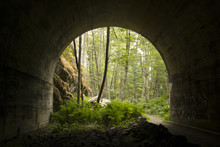 Looking Out A Tunnel Onto A Green Forested Nature Trail
