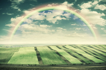 Wall Mural - Vintage Landscape with Fields and Rainbow