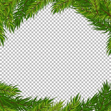 Christmas Vector Tree Decorative Frame With Transparent Background. Realistic Pine Branches Illustration