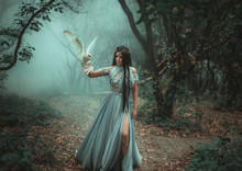 Mysterious Sorceress In A Beautiful Blue Dress. The Background Is A Cold Forest In The Fog. Girl With A White Owl. Artistic Photography