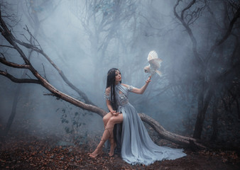 mysterious sorceress in a beautiful blue dress. the background is a cold forest in the fog. girl wit