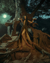 A Fabulous, Forest Nymph With Long Hair Lies On A Tree Branch With An Aggressive Look. Background Dark Night And Fog. Mythical Character Of Gian