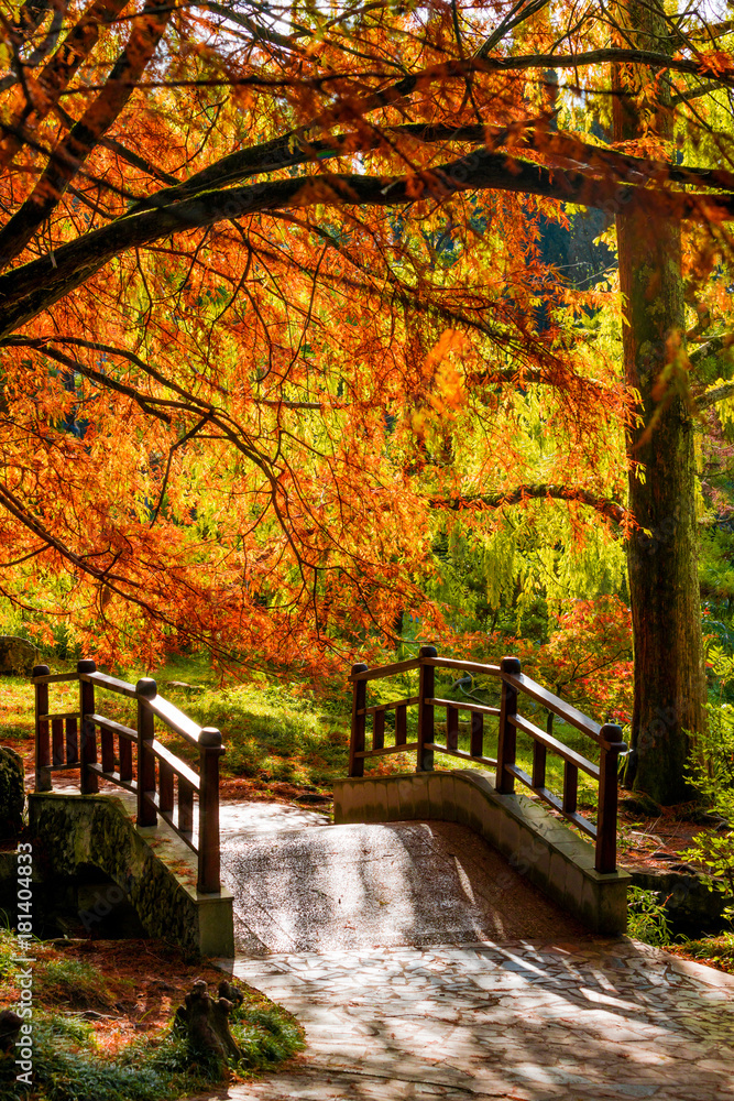 Foto-Schiebegardine ohne Schienensystem - Autumn landscape. Autumn tree leaves. bridge in autumn park