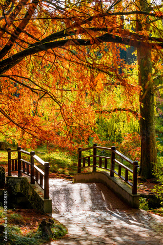 Foto-Schiebegardine ohne Schienensystem - Autumn landscape. Autumn tree leaves. bridge in autumn park (von EwaStudio)