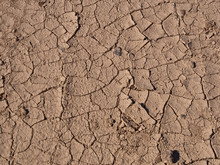 A Background Shot Of A Dry, Cracked Desert Floor