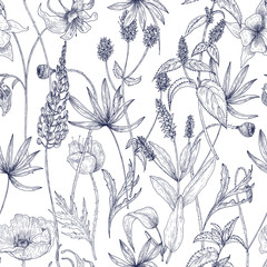 Hand drawn monochrome floral seamless pattern with gorgeous vintage wild flowers, herbs and herbaceous plants on white background. Botanical vector illustration in antique style.