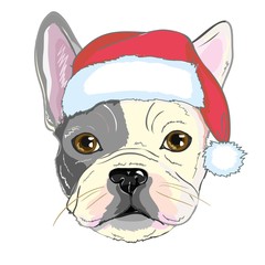 Christmas greeting card. Pug dog with red Santa s hat