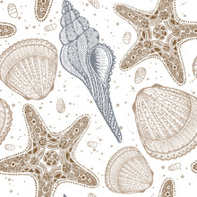 Marine Vector Hand Drawn Pattern With Sea Shells And Stars. Highly Detailed. Perfect For Textiles, Wallpaper And Prints.
