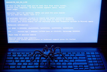 Metal Spider On The Computer Keyboard, Virus, Blue Screen, Theme Of Information Security