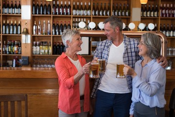 Wall Mural - Friends interacting while having glass of beer at counter