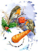 Watercolor Christmas Bird Illustration