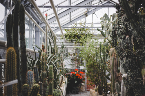 Botanischer Garten Der Uni Greifswald Kaufen Sie Dieses Foto Und