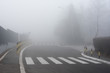 Pedestrian on empty road covered with fog