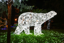 Artistic Lights In Salerno Polar Bear