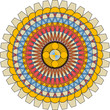 © baronred - Multicolored flower pattern