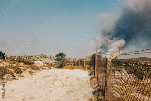 Zdjęcie XXL Pożary lasów w Portugalii
