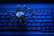 Metal Spider On The Computer Keyboard, Virus, Theme Of Information Security