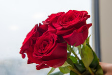 Bouquet Of Fresh Red Roses - Symbol Of Love, On Light Background