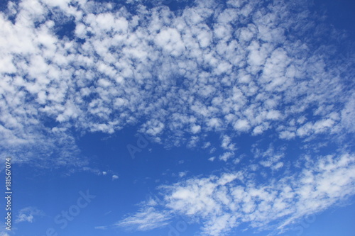 初秋の空に広がるうろこ雲 いわし雲 さば雲 Stock 写真 Adobe Stock 初秋の空に広がるうろこ雲 いわし雲 さば雲 Stock 写真 Adobe Stock