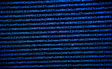 screen with software developer code.