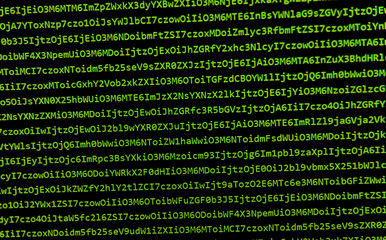 screen with software developer code.