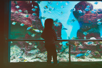 Wall Mural - little girl watching fishes in large aquarium