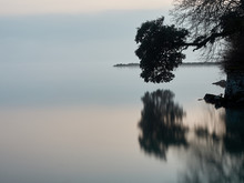An Overhanging Branch Of A Tree Reflected In The Water Of A Lake After Sunset