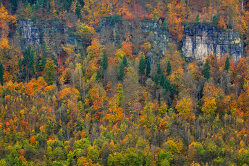 Wall Mural - Rocky landscape during autumn. Beautiful landscape with stone, forest and fog. Sunset in Czech national park Ceske Svycarsko. Misty evening autumn nature. Landscape with rock hills. Dark day.