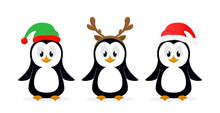 Three Christmas Penguins On White Background