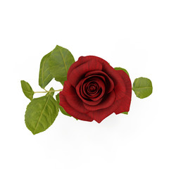 Wall Mural - Single beautiful red rose isolated on white. 3D illustration