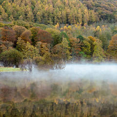 Wall Mural - early autumn morning lake mist with calm reflections in water. taken at derwentwater in the english 