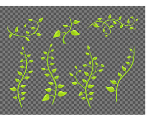 ivy twigs with leaves on a transparent background vector