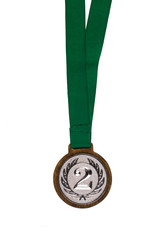 Poster - silver sport medal on white background