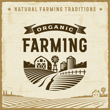 Vintage Organic Farming Label. Editable EPS10 Vector Illustration In Retro Woodcut Style With Clipping Mask And Transparency.