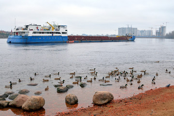 Canvas Print - Cargo ship on Neva River.