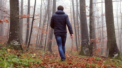 Wall Mural - Walk along the foggy autumn seasonal forest in the early misty morning. Back view.