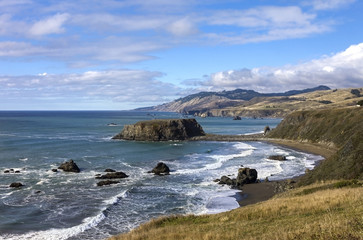 Goat Rock State Beach