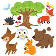Forest animal vector cartoon illustration