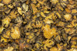 Closeup sliced dried Szechuan lovage used as traditional Chinese medicine (Ligusticum striatum).