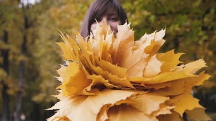 Wall Mural - bouquet of the yellow leaves. Autumn girl walking in city park. Portrait of happy lovely and beautiful young woman in forest in fall colors.