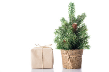 Christmas tree with gift isolated on white