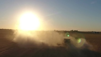 Wall Mural - Combine harvesting a field of soybeans as sunset in midwest United States