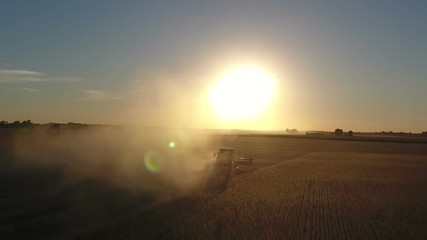 Wall Mural - Combine harvesting a field of soybeans as sunset in midwest United States